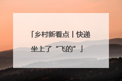 乡村新看点丨快递坐上了“飞的”