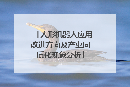 人形机器人应用改进方向及产业同质化现象分析