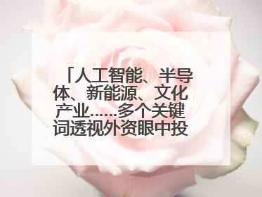 人工智能、半导体、新能源、文化产业……多个关键词透视外资眼中投资中国的新机遇