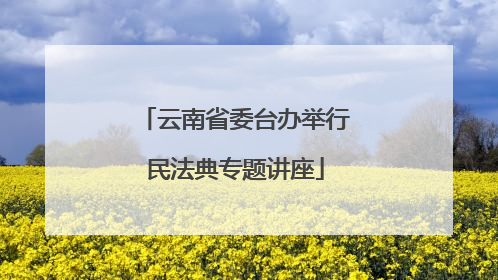 云南省委台办举行民法典专题讲座