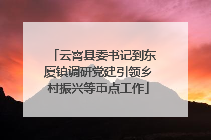 云霄县委书记到东厦镇调研党建引领乡村振兴等重点工作
