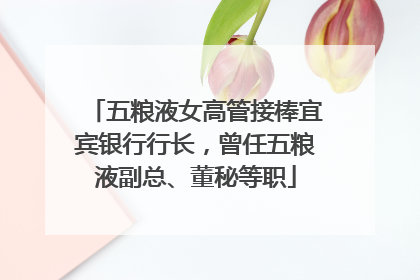 五粮液女高管接棒宜宾银行行长，曾任五粮液副总、董秘等职