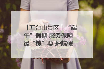 五台山景区｜“端午”假期 服务保障最“粽”要 护航假期“不打烊”
