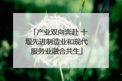 产业双向奔赴 十堰先进制造业和现代服务业融合共生