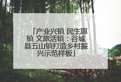 产业兴镇 民生惠镇 文旅活镇：谷城县五山镇打造乡村振兴示范样板