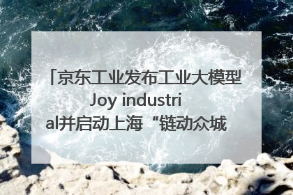 京东工业发布工业大模型Joy industrial并启动上海“链动众城 万亿降本”计划