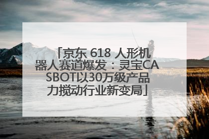 京东 618 人形机器人赛道爆发：灵宝CASBOT以30万级产品力搅动行业新变局