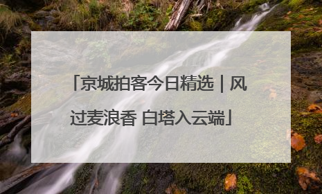 京城拍客今日精选｜风过麦浪香 白塔入云端