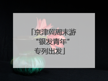 京津冀周末游 “银发青年”专列出发