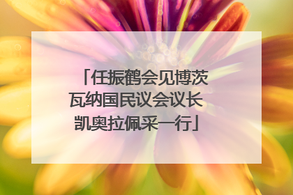 任振鹤会见博茨瓦纳国民议会议长凯奥拉佩采一行