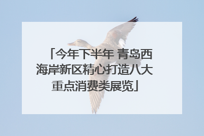 今年下半年 青岛西海岸新区精心打造八大重点消费类展览