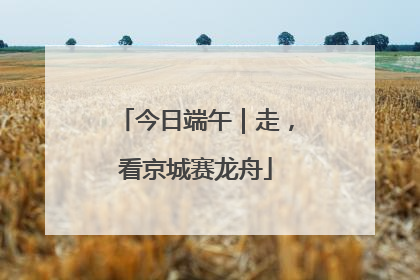 今日端午｜走，看京城赛龙舟