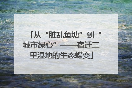 从“脏乱鱼塘”到“城市绿心”——宿迁三里湿地的生态蝶变