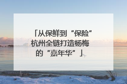 从保鲜到“保险” 杭州全链打造杨梅的“嘉年华”