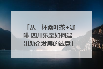 从一杯桑叶茶+咖啡 四川乐至如何端出助企发展的诚意