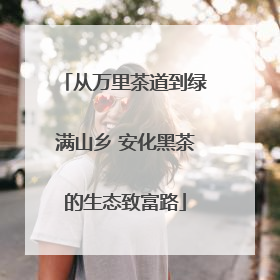 从万里茶道到绿满山乡 安化黑茶的生态致富路