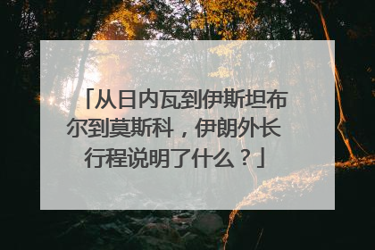 从日内瓦到伊斯坦布尔到莫斯科，伊朗外长行程说明了什么？