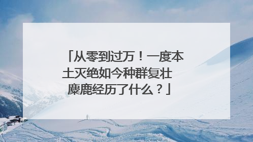 从零到过万！一度本土灭绝如今种群复壮 麋鹿经历了什么？