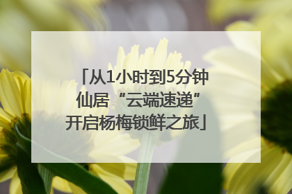 从1小时到5分钟 仙居“云端速递”开启杨梅锁鲜之旅