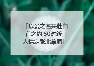 以爱之名共赴白首之约 50对新人情定张北草原