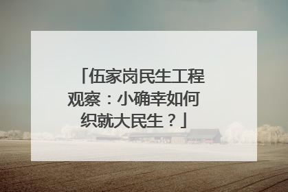 伍家岗民生工程观察：小确幸如何织就大民生？