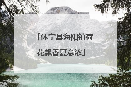 休宁县海阳镇荷花飘香夏意浓