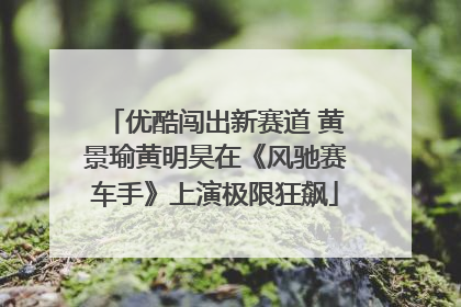 优酷闯出新赛道 黄景瑜黄明昊在《风驰赛车手》上演极限狂飙