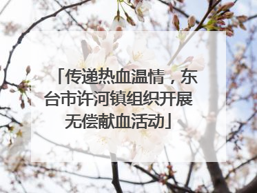 传递热血温情，东台市许河镇组织开展无偿献血活动