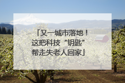 又一城市落地！这把科技“钥匙”帮走失老人回家