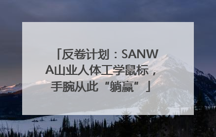 反卷计划：SANWA山业人体工学鼠标，手腕从此“躺赢”