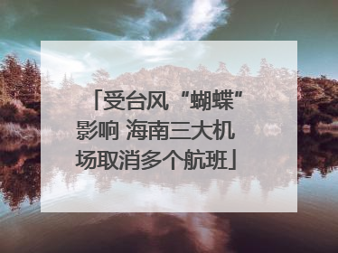 受台风“蝴蝶”影响 海南三大机场取消多个航班