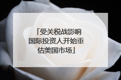 受关税战影响 国际投资人开始重估美国市场