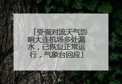 受强对流天气影响大连机场多处漏水，已恢复正常运行，气象台回应