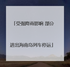 受强降雨影响 部分进出海南岛列车停运