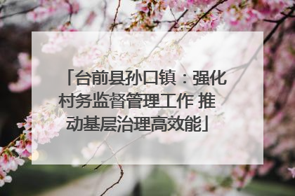 台前县孙口镇：强化村务监督管理工作 推动基层治理高效能