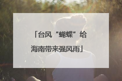台风“蝴蝶”给海南带来强风雨