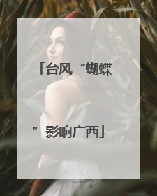 台风“蝴蝶”影响广西