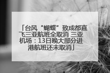台风“蝴蝶”致成都直飞三亚航班全取消 三亚机场：13日晚大部分进港航班还未取消