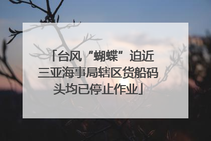 台风“蝴蝶”迫近 三亚海事局辖区货船码头均已停止作业