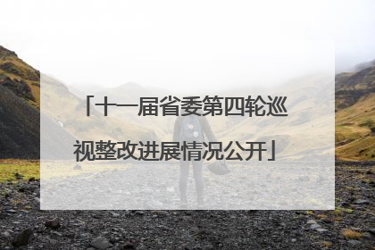 十一届省委第四轮巡视整改进展情况公开