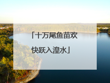 十万尾鱼苗欢快跃入湟水
