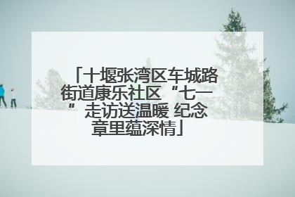 十堰张湾区车城路街道康乐社区“七一”走访送温暖 纪念章里蕴深情