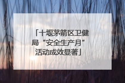 十堰茅箭区卫健局“安全生产月”活动成效显著