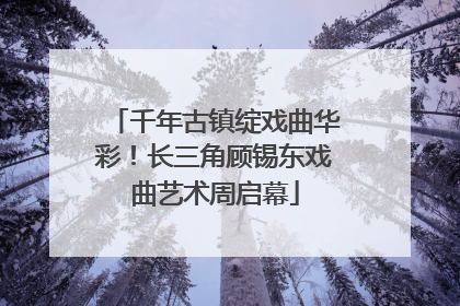 千年古镇绽戏曲华彩！长三角顾锡东戏曲艺术周启幕