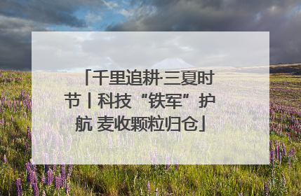千里追耕·三夏时节丨科技“铁军”护航 麦收颗粒归仓