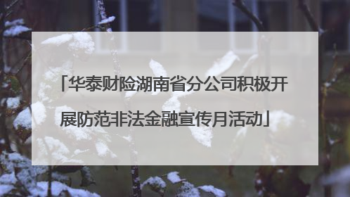 华泰财险湖南省分公司积极开展防范非法金融宣传月活动