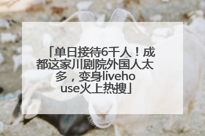 单日接待6千人！成都这家川剧院外国人太多，变身livehouse火上热搜