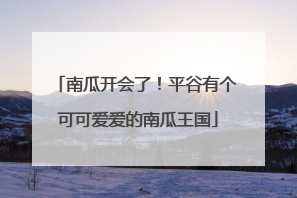 南瓜开会了！平谷有个可可爱爱的南瓜王国