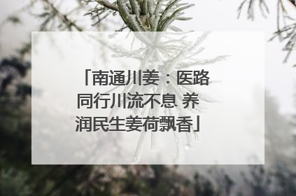 南通川姜：医路同行川流不息 养润民生姜荷飘香