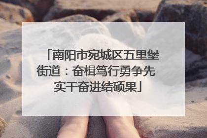 南阳市宛城区五里堡街道：奋楫笃行勇争先 实干奋进结硕果